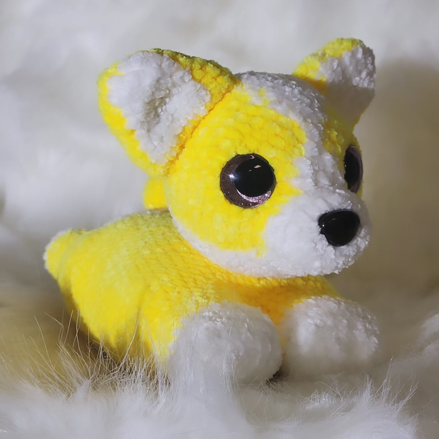 Corgi plushie